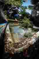 08 John Gardner treeplantcorner shotby Heikkila Jersey LOW 2